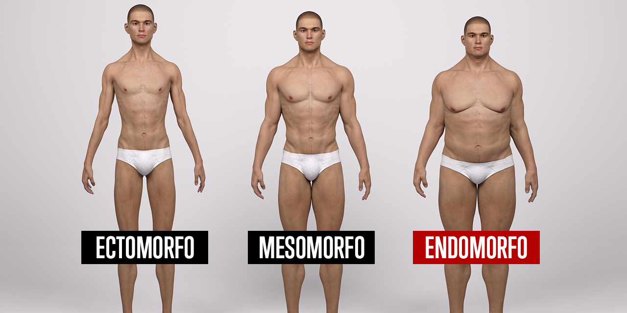 Endomorfos Dicas Para Melhorar Os Resultados Com A Muscula O Portal Canal Perguntas