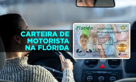 Veja quando precisa ter carteira de motorista na Flórida