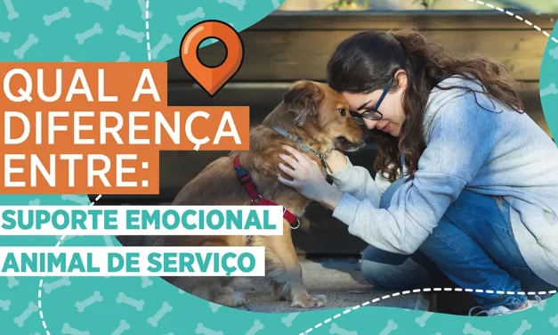 Animal de serviço x animal de apoio emocional: qual é a diferença?