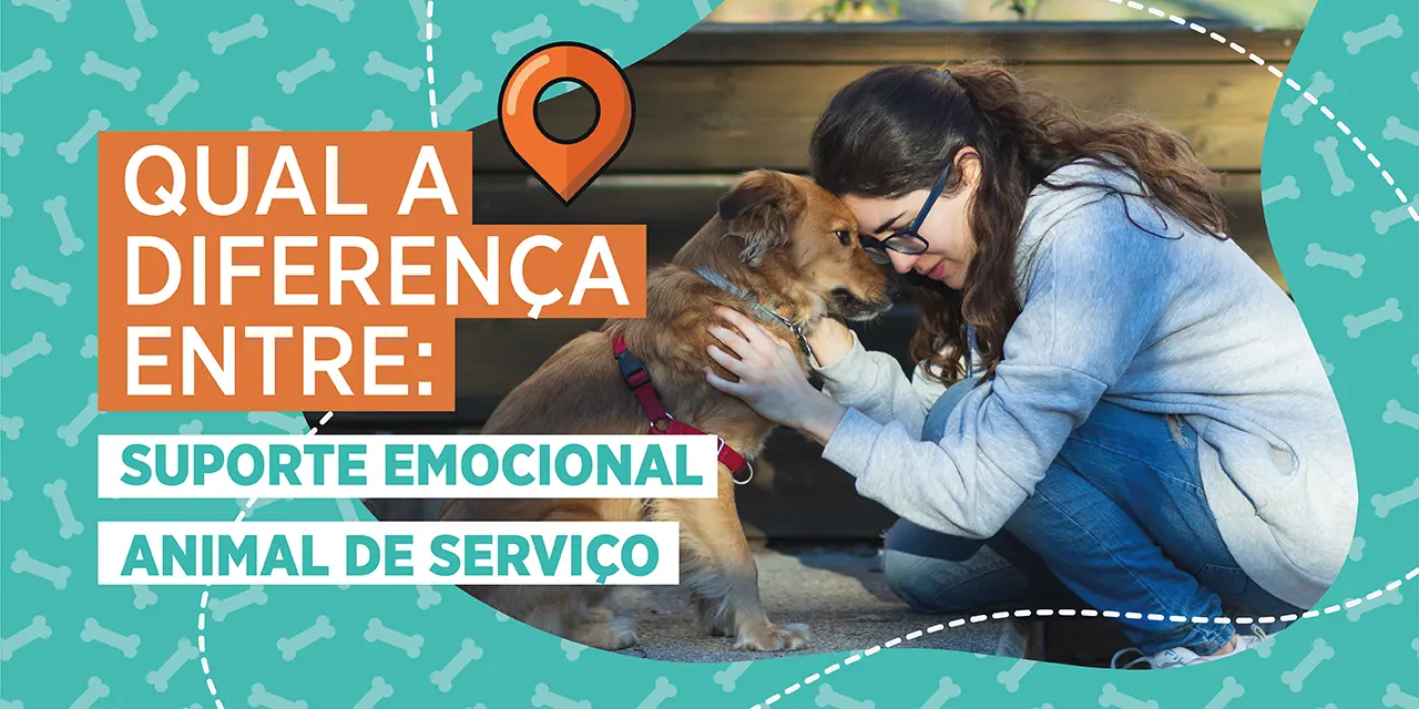 Animal de serviço x animal de apoio emocional: qual é a diferença?