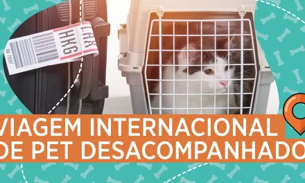 Viagem internacional de PETs desacompanhados