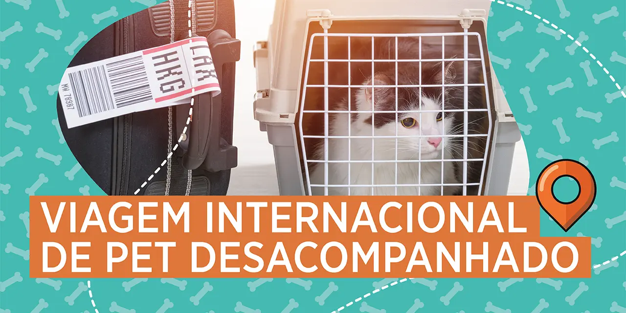 Viagem internacional de PETs desacompanhados